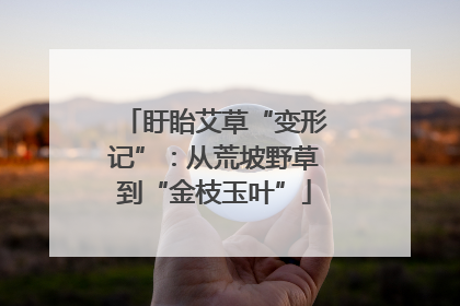 盱眙艾草“变形记”：从荒坡野草到“金枝玉叶”