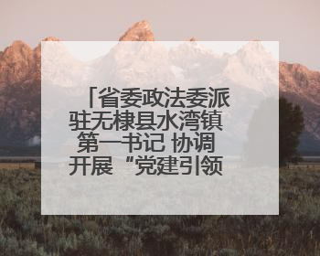 省委政法委派驻无棣县水湾镇第一书记 协调开展“党建引领聚合力，健康义诊惠乡亲”义诊活动