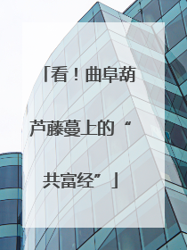 看！曲阜葫芦藤蔓上的“共富经”