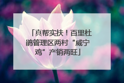 真帮实扶！百里杜鹃管理区两村“威宁鸡”产销两旺