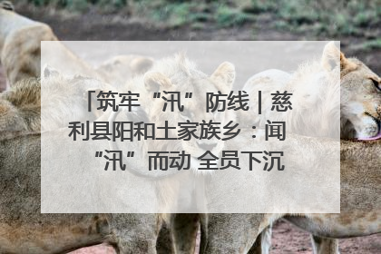 筑牢“汛”防线｜慈利县阳和土家族乡：闻“汛”而动 全员下沉筑牢防汛“安全堤”