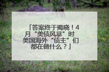 答案终于揭晓！4月“美债风暴”时 美国海外“债主”们都在做什么？