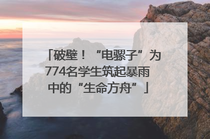 破壁！“电骡子”为774名学生筑起暴雨中的“生命方舟”