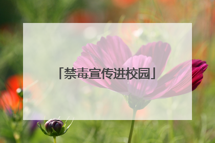 禁毒宣传进校园