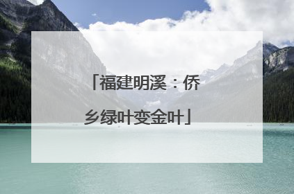 福建明溪：侨乡绿叶变金叶