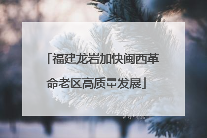 福建龙岩加快闽西革命老区高质量发展