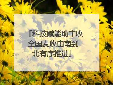 科技赋能助丰收 全国麦收由南到北有序推进
