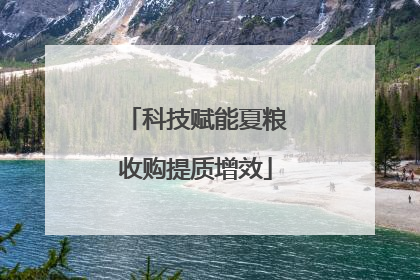科技赋能夏粮收购提质增效
