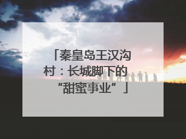 秦皇岛王汉沟村：长城脚下的“甜蜜事业”
