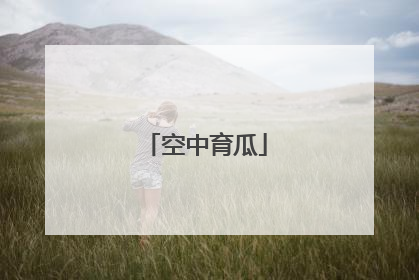 空中育瓜