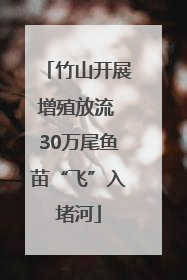 竹山开展增殖放流 30万尾鱼苗“飞”入堵河