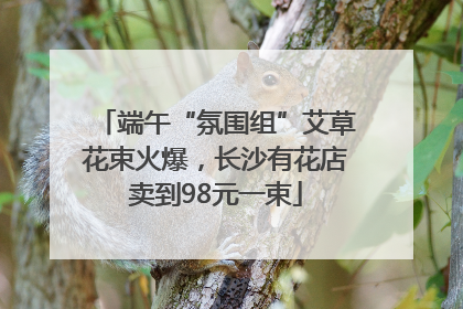 端午“氛围组”艾草花束火爆，长沙有花店卖到98元一束