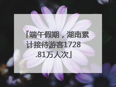 端午假期，湖南累计接待游客1728.81万人次
