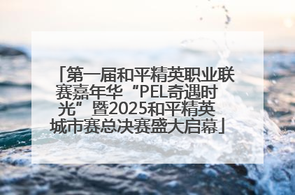 第一届和平精英职业联赛嘉年华“PEL奇遇时光”暨2025和平精英城市赛总决赛盛大启幕