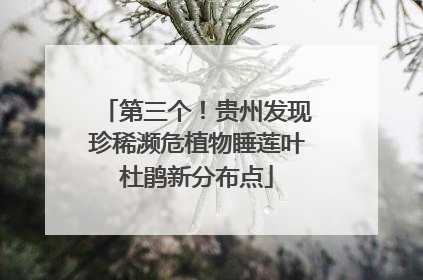 第三个！贵州发现珍稀濒危植物睡莲叶杜鹃新分布点