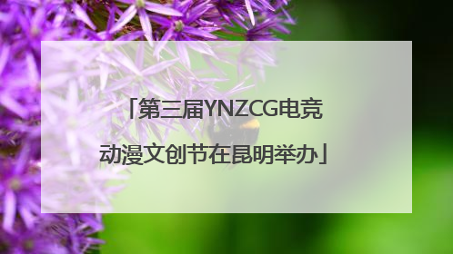 第三届YNZCG电竞动漫文创节在昆明举办