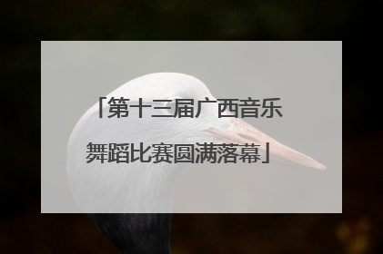 第十三届广西音乐舞蹈比赛圆满落幕