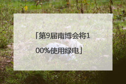 第9届南博会将100%使用绿电