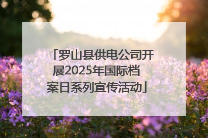 罗山县供电公司开展2025年国际档案日系列宣传活动