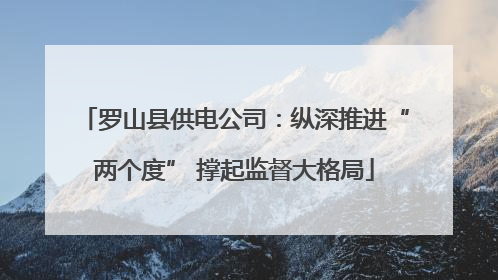 罗山县供电公司：纵深推进“两个度” 撑起监督大格局