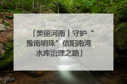 美丽河南丨守护“豫南明珠”信阳南湾水库治理之路