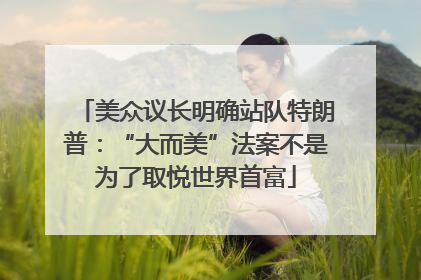 美众议长明确站队特朗普：“大而美”法案不是为了取悦世界首富