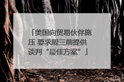 美国向贸易伙伴施压 要求周三前提供谈判“最佳方案”
