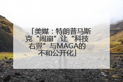美媒：特朗普马斯克“闹崩”让“科技右翼”与MAGA的不和公开化