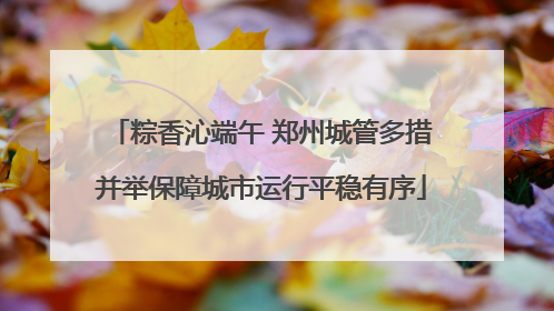粽香沁端午 郑州城管多措并举保障城市运行平稳有序