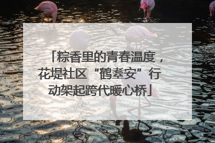 粽香里的青春温度，花堤社区“鹤耋安”行动架起跨代暖心桥
