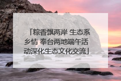粽香飘两岸 生态系乡情 奉台两地端午活动深化生态文化交流