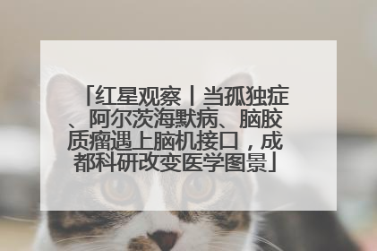 红星观察丨当孤独症、阿尔茨海默病、脑胶质瘤遇上脑机接口，成都科研改变医学图景
