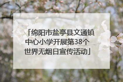 绵阳市盐亭县文通镇中心小学开展第38个世界无烟日宣传活动