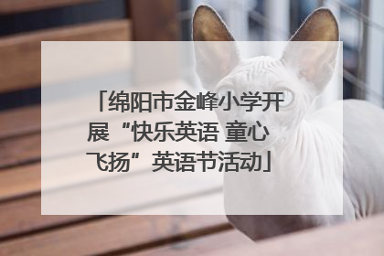 绵阳市金峰小学开展“快乐英语 童心飞扬”英语节活动