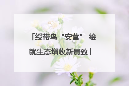 绶带鸟“安营” 绘就生态增收新景致