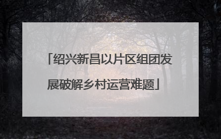 绍兴新昌以片区组团发展破解乡村运营难题