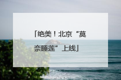 绝美！北京“莫奈睡莲”上线