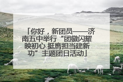 你好，新团员——济南五中举行“团徽闪耀映初心 挺膺担当建新功”主题团日活动