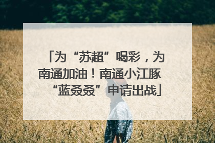 为“苏超”喝彩，为南通加油！南通小江豚“蓝叒叒”申请出战