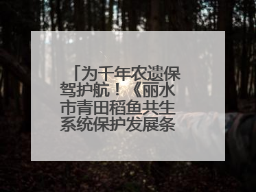 为千年农遗保驾护航！《丽水市青田稻鱼共生系统保护发展条例》正式施行
