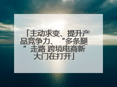 主动求变、提升产品竞争力、“多条腿”走路 跨境电商新大门在打开