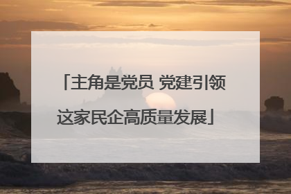 主角是党员 党建引领这家民企高质量发展