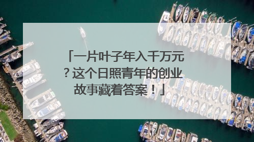 一片叶子年入千万元？这个日照青年的创业故事藏着答案！