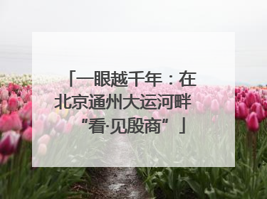一眼越千年：在北京通州大运河畔“看·见殷商”