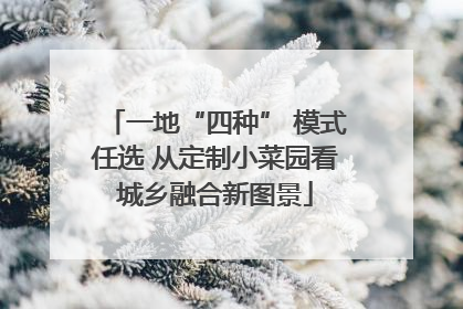 一地“四种” 模式任选 从定制小菜园看城乡融合新图景