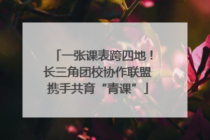 一张课表跨四地！长三角团校协作联盟携手共育“青课”