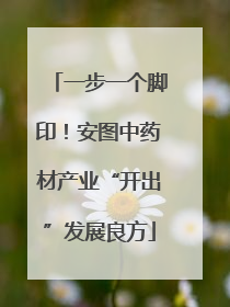 一步一个脚印！安图中药材产业“开出”发展良方