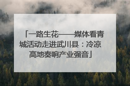 一路生花——媒体看青城活动走进武川县：冷凉高地奏响产业强音
