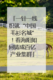 一针一线织就“中国毛衫名城”！看海阳如何铸成百亿产业集群