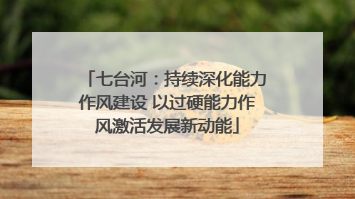 七台河：持续深化能力作风建设 以过硬能力作风激活发展新动能